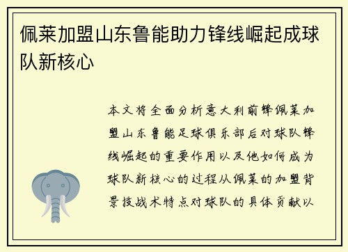 佩莱加盟山东鲁能助力锋线崛起成球队新核心 佩莱加盟山东鲁能助力锋线崛起成球队新核心